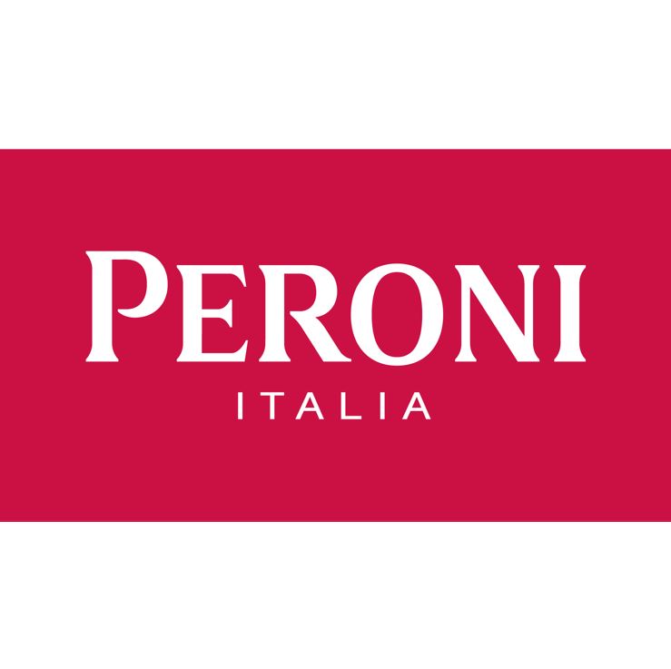 website logo